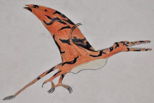 Northeast Texas pterosaur seen by Tullock