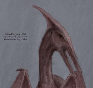 modern-pterosaur sketch by the eyewitness